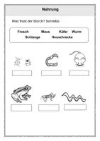 Vorschau - Arbeitsblätter - Der Storch 1. Klasse Sachunterricht - Seite 3