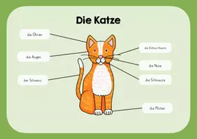 Vorschau - Poster - Die Katze - Lernplakat - Deckblatt