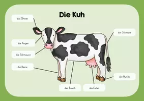 Vorschau - Poster - Die Kuh - Lernplakat - Deckblatt