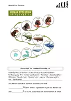 Vorschau - Stundenentwürfe - Die Evolution des Menschen Grafik Aufgaben Lösungen - Seite 2