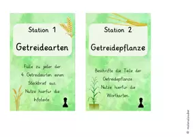 Vorschau - Unterrichtsreihen - Getreide – Stationenlernen Arbeitsblätter (Sachunterricht) - Seite 2