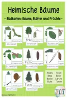 Vorschau - Poster - HEIMISCHE BÄUME - Bildkarten / Tafelkarten - Deckblatt