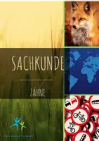 Vorschau - Stundenentwürfe - Der Zahn Grafik Aufgaben Lösungen - Deckblatt