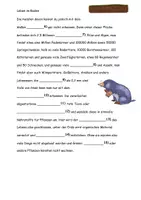 Vorschau - Stundenentwürfe - Leben im Boden Texte Aufgaben und Lösungen - Seite 3