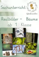 Vorschau - Mal- und Bastelvorlagen - Legeübung zu heimischen Laub- & Nadelbäumen ab Kl. 1 - Deckblatt
