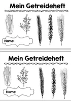 Vorschau - Arbeitsblätter - Forscherheft: Getreide - Seite 2