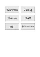 Vorschau - Arbeitsblätter - Wachsendes Megapaket Minihefte und Erarbeitungsmaterial Sachunterricht - Seite 2
