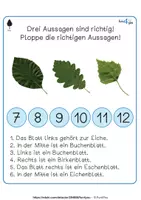 Vorschau - Stationenlernen - Laubbäume - Richtig oder falsch - Plopper - Seite 2
