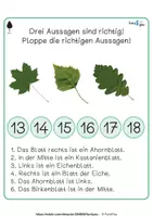 Vorschau - Stationenlernen - Laubbäume - Richtig oder falsch - Plopper - Seite 3