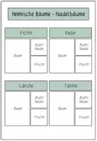 Vorschau - Arbeitsblätter - HEIMISCHE BÄUME - Arbeitsblätter (farbig und schwarz-weiß) - Seite 3