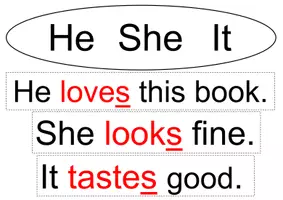 Vorschau - Poster - *GRAMMAR* 3 Lernplakate als Merkhilfe/Tafelkarten *do, does und Verneinung - Häufigkeiten - he, she, it (present tenses)* - Seite 2