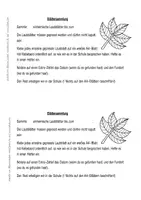 Vorschau - Unterrichtsreihen - Blättersammlung, Herbarium einheimische Laubbäume - Seite 2