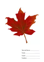 Vorschau - Unterrichtsreihen - Blättersammlung, Herbarium einheimische Laubbäume - Seite 3