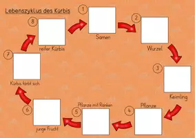Vorschau - Arbeitsblätter - Kürbis Klettmappen - Seite 1