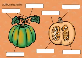 Vorschau - Arbeitsblätter - Kürbis Klettmappen - Seite 2