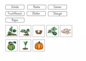 Vorschau - Arbeitsblätter - Kürbis Klettmappen - Seite 3