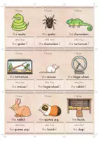 Vorschau - Spiele - I have... Who has...? | PETS | Lesespiel Englisch - Seite 3