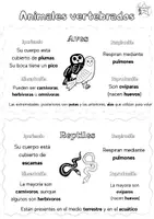 Vista previa - Hojas de trabajo - Animales vertebrados B:N - página 1