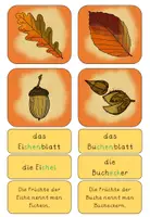 Vorschau - Spiele - Laubbäume und Früchte Lesespiel -Vorschule/Klasse 1/2 - Seite 1