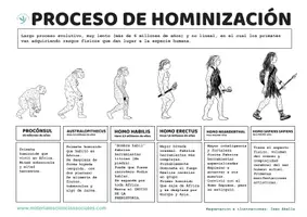 Vista previa - Hojas de trabajo - Puzzle proceso de hominización - Portada
