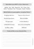 Vorschau - Arbeitsblätter - Leseverständnis Igel - Kopiervorlage - Seite 2