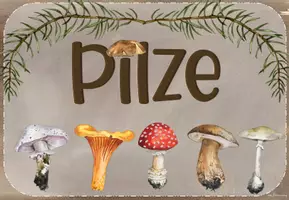 Vorschau - Unterrichtsreihen - Materialpaket: Pilze (1./2. Klasse) - Seite 1