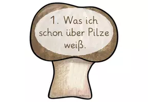Vorschau - Unterrichtsreihen - Pilze: Reihentransparenz (1./2.Klasse) - Seite 2