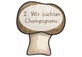 Vorschau - Unterrichtsreihen - Pilze: Reihentransparenz (1./2.Klasse) - Seite 3