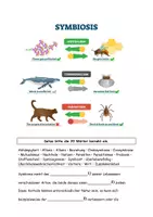 Vorschau - Stundenentwürfe - Materialpaket Abitur-Vorbereitung Biologie - Seite 3