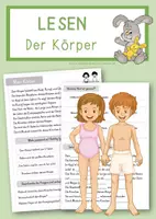 Vorschau - Arbeitsblätter - Leseverständnis Körper - Kopiervorlage - Deckblatt