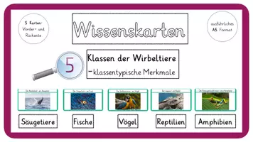 Vorschau - Stationenlernen - Materialpaket- Wissenskarten: 5 Klassen der Wirbeltiere - Seite 1
