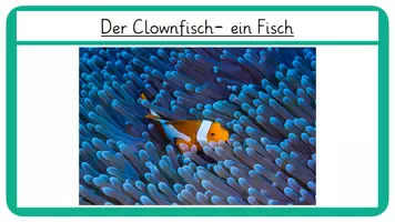 Vorschau - Stationenlernen - Wissenskarten-klassentypische Merkmale der Wirbeltiere - Seite 3
