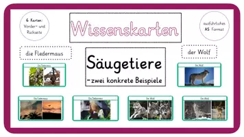 Vorschau - Bildkarten - Wissenskarten Säugetiere- Fledermaus und Wolf - Deckblatt