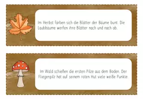 Vorschau - Stundenentwürfe - Schleichdiktat - Bundle: Herbst und Halloween Kl. 3/4 - Seite 3