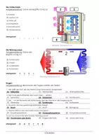 Vorschau - Arbeitsblätter - Arbeitsblatt "Kühlschrank und Wärmepumpe" mit Erklärvideo, Lösungen und Onlineübungen - Seite 1