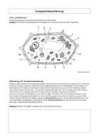 Vorschau - Arbeitsblätter - Kompartimentierung (Zelle, Abitur) - Seite 1