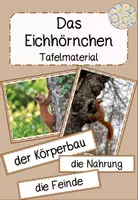 Vorschau - Präsentationen/Tafelbilder - Eichhörnchen Tafelmaterial - Deckblatt