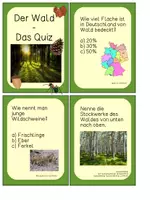 Vorschau - Spiele - Wald - Das große Quiz - Seite 1