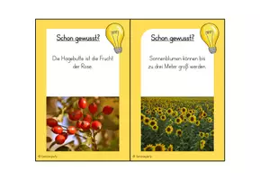 Vorschau - Stationenlernen - Jahreszeiten: Schon gewusst? (Kl. 2) - Seite 3