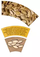 Vorschau - Unterrichtsreihen - Legekreis Entwicklungszyklus Kürbis - Seite 2