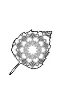 Vorschau - Mal- und Bastelvorlagen - Herbstlaub Mandala - Klassenzimmerdekoration - Kunst - Herbst - Seite 3