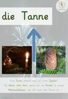 Vorschau - Poster - Merkplakate Bäume - VERÄNDERBAR! - Seite 2