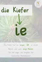 Vorschau - Poster - Merkplakate Bäume - VERÄNDERBAR! - Seite 3