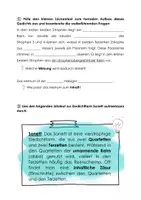 Vorschau - Arbeitsblätter - Großstadtlyrik SI - Seite 3