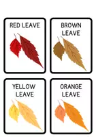 Vista previa - Unidades / Secuencias / Situaciones de Aprendizaje - Autumn Pack - Flashcards, wordcards, stations & worksheets - página 2