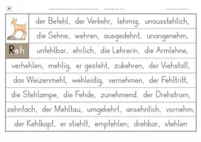 Vorschau - Arbeitsblätter - Konzentriertes Wortschatz- und Rechtschreibtraining - Wörter mit dem Vokal e vor dem Dehnungs-h - Seite 2
