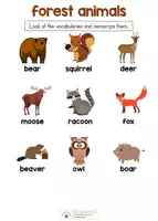 Vorschau - Arbeitsblätter - creativity set - forest animals - Seite 1
