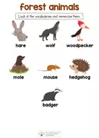 Vorschau - Arbeitsblätter - creativity set - forest animals - Seite 2