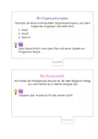 Vorschau - Arbeitsblätter - Info-Heftchen Projektmappe - Seite 3