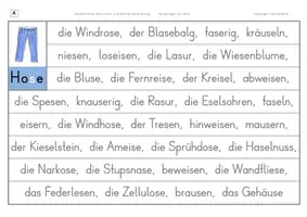 Vorschau - Arbeitsblätter - Konzentriertes Wortschatz- und Rechtschreibtraining - Wörter mit einfachem s zwischen zwei Vokalen - Seite 2